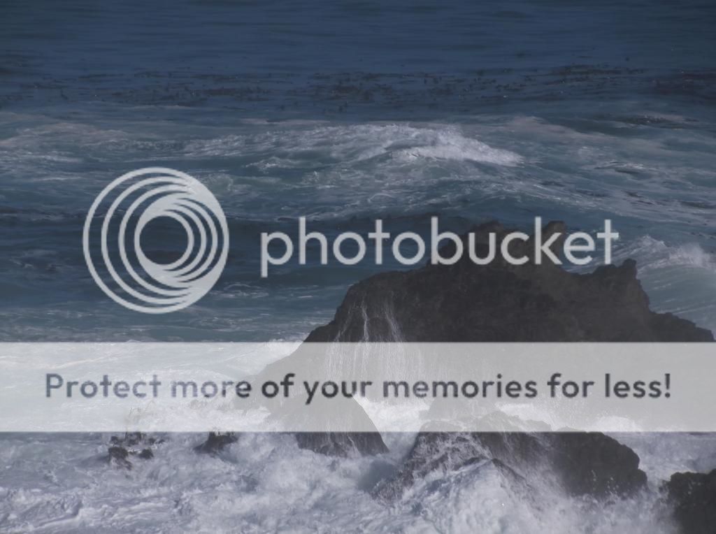  photo DSCF5830_zps81c2e261.jpg