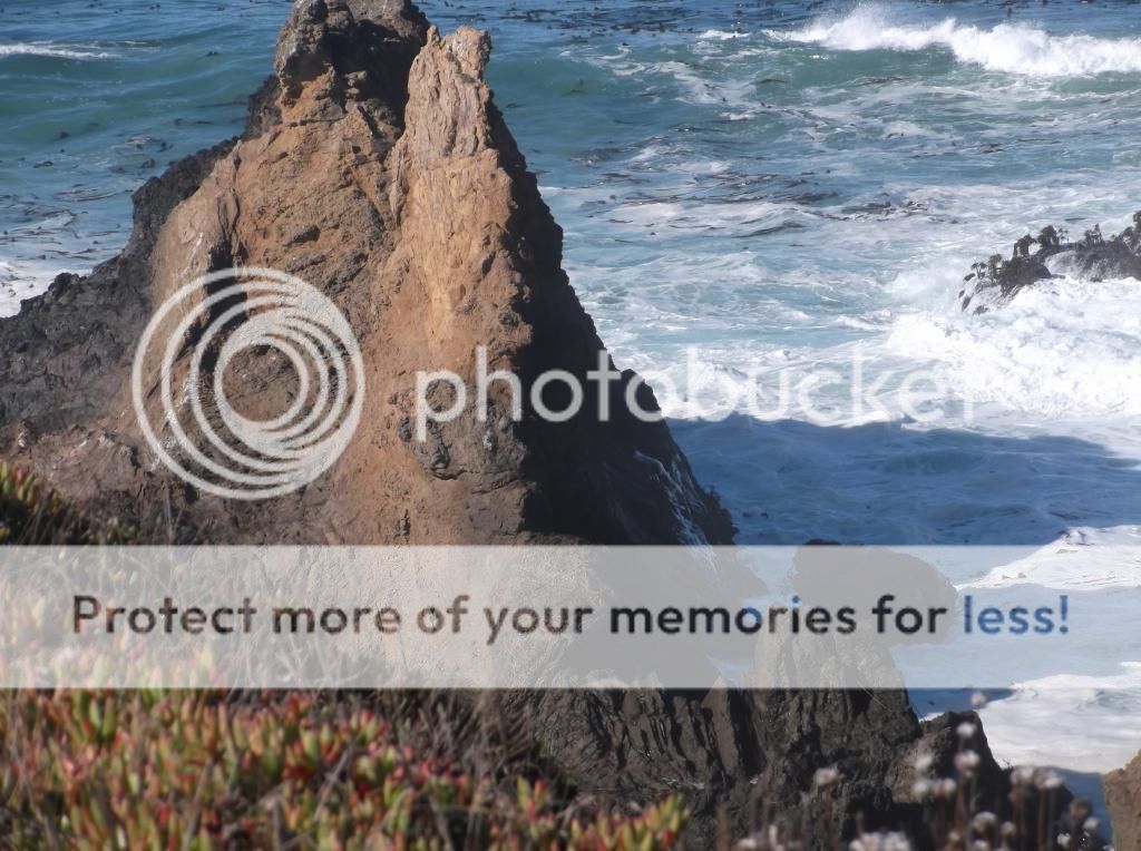  photo DSCF5835_zps62f6edb7.jpg