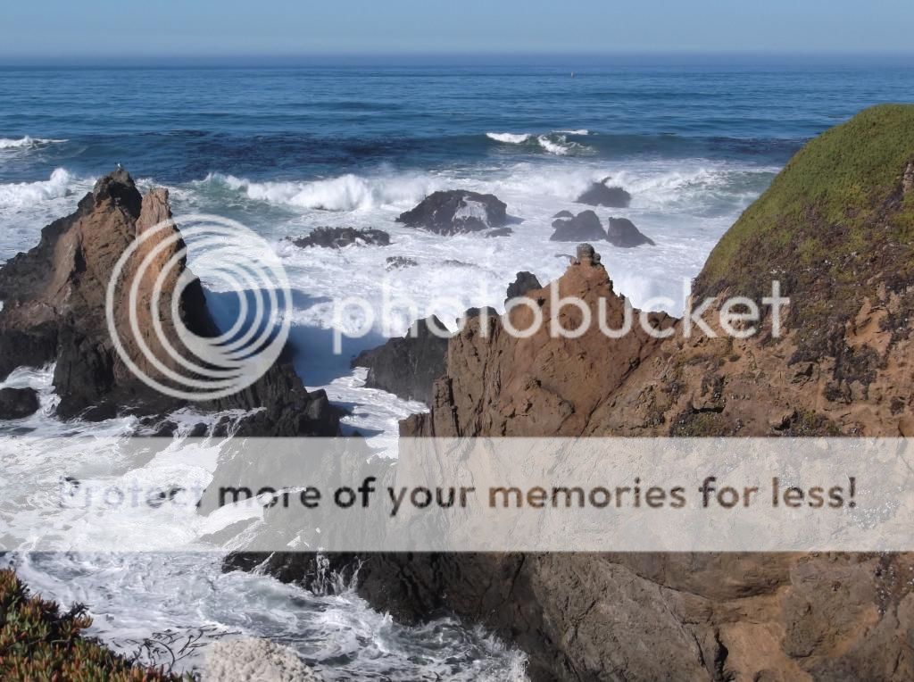  photo DSCF5839_zpsc4508856.jpg