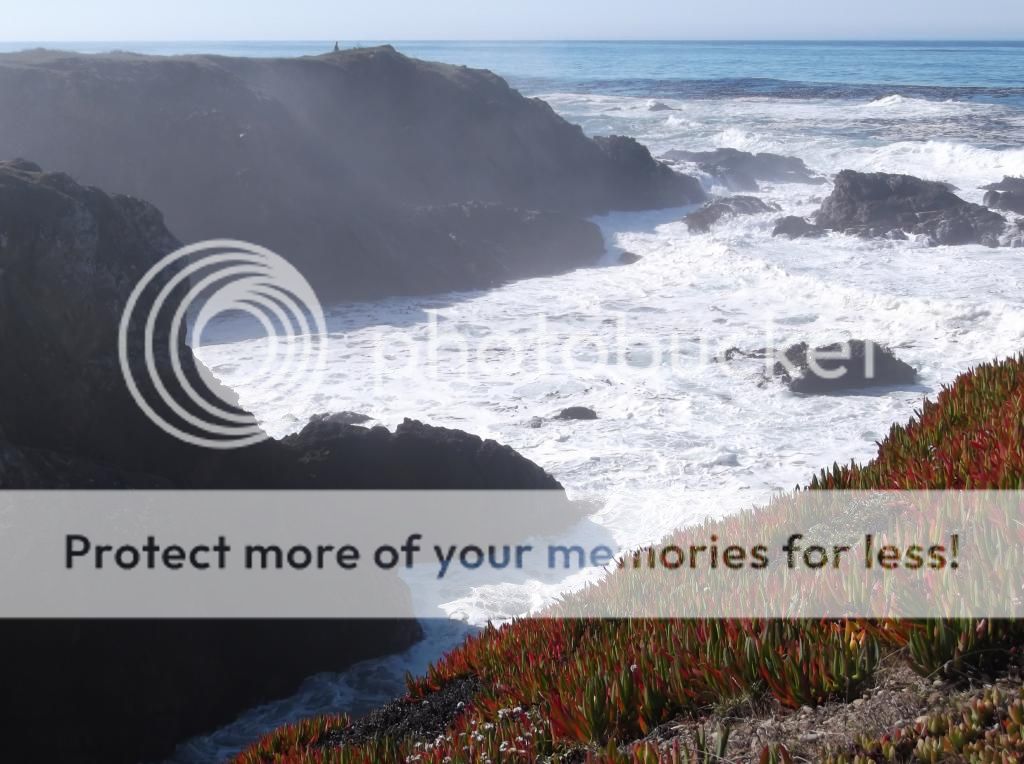  photo DSCF5860_zpscb5c0181.jpg