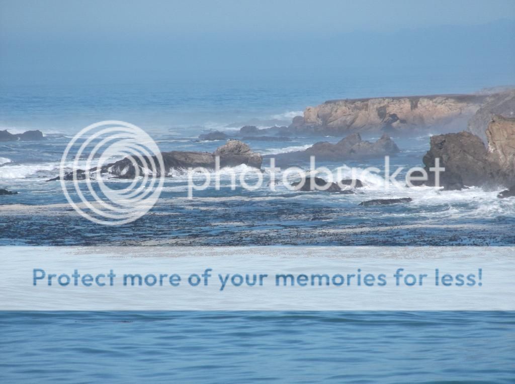  photo DSCF5889_zpsca80897b.jpg