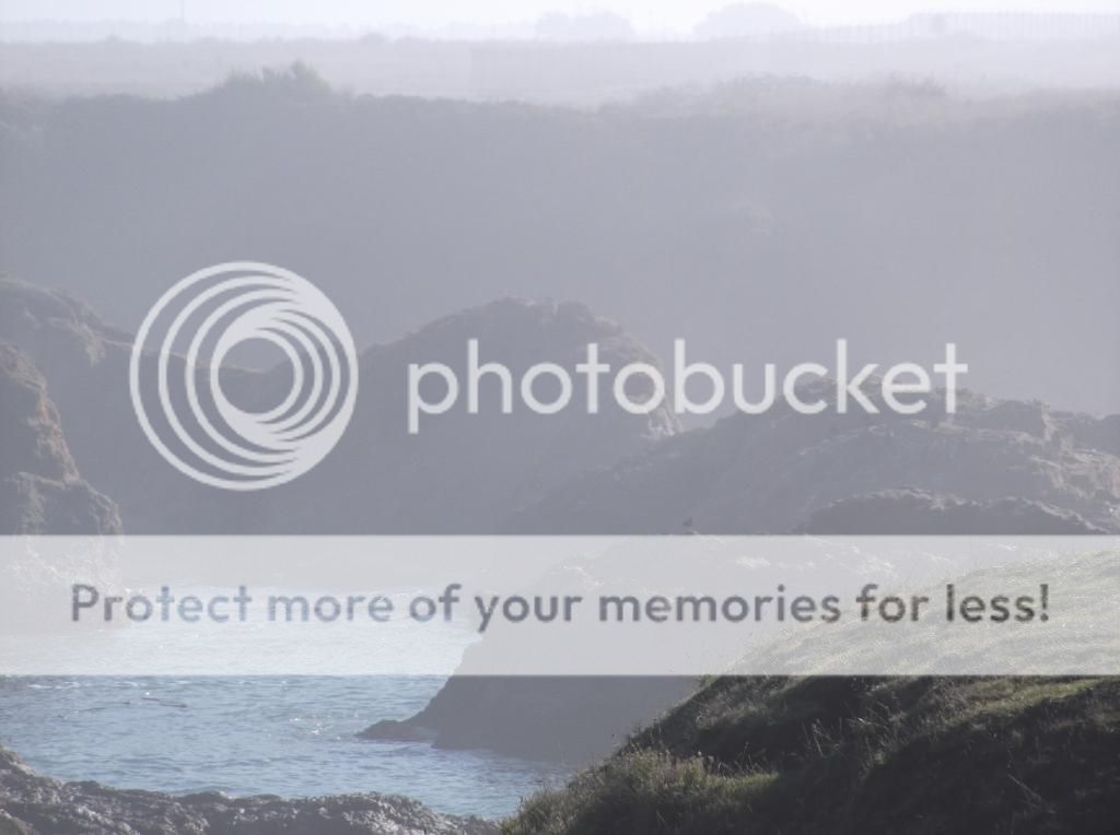  photo DSCF5897_zps8831dbae.jpg