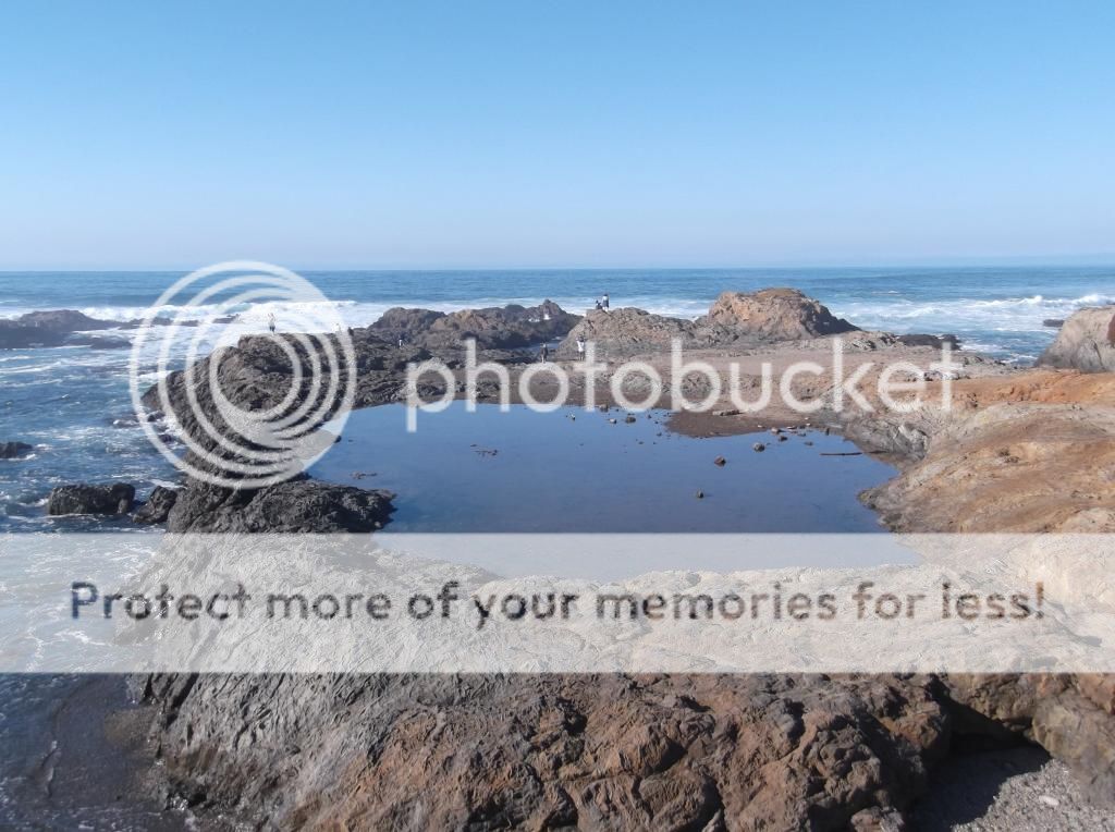  photo DSCF5908_zps6ba27b08.jpg