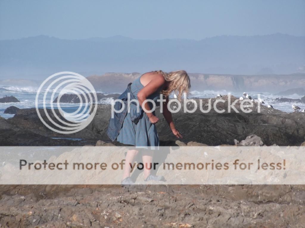  photo DSCF5912_zpsc053c519.jpg