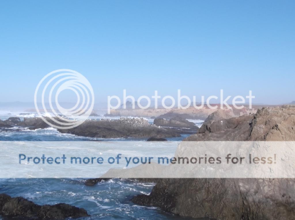  photo DSCF5926_zps121fa604.jpg