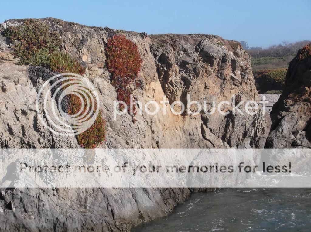  photo DSCF5930_zps4d500d44.jpg