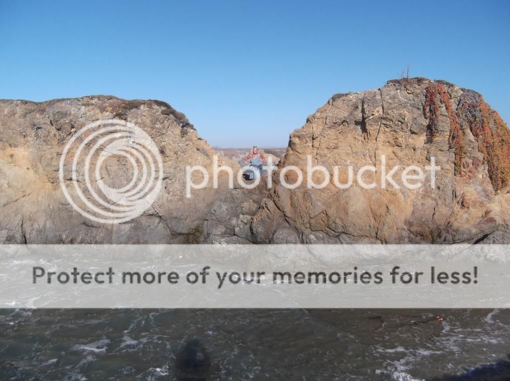  photo DSCF5933_zps88c1dca2.jpg