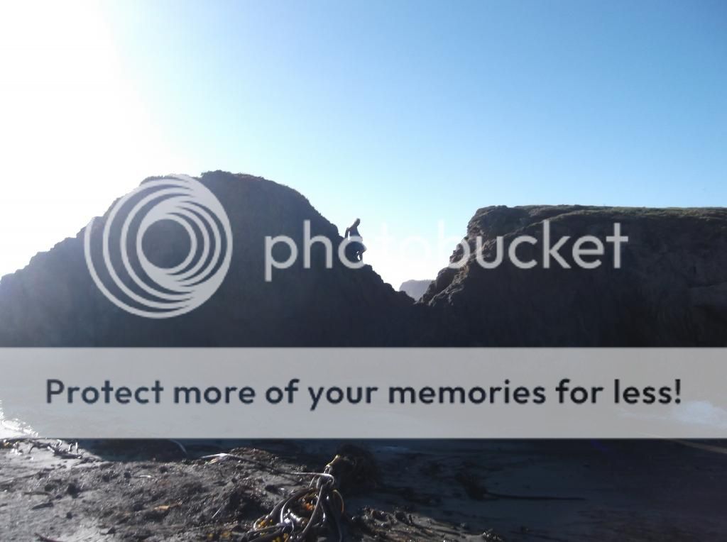  photo DSCF5938_zps251e37a8.jpg