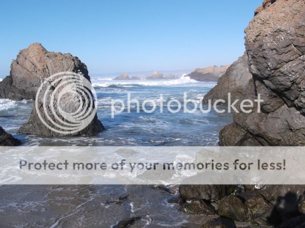  photo DSCF5942_zps226168d1.jpg