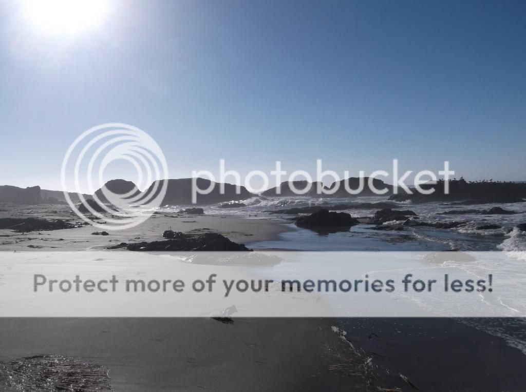  photo DSCF5943_zps12e971a4.jpg