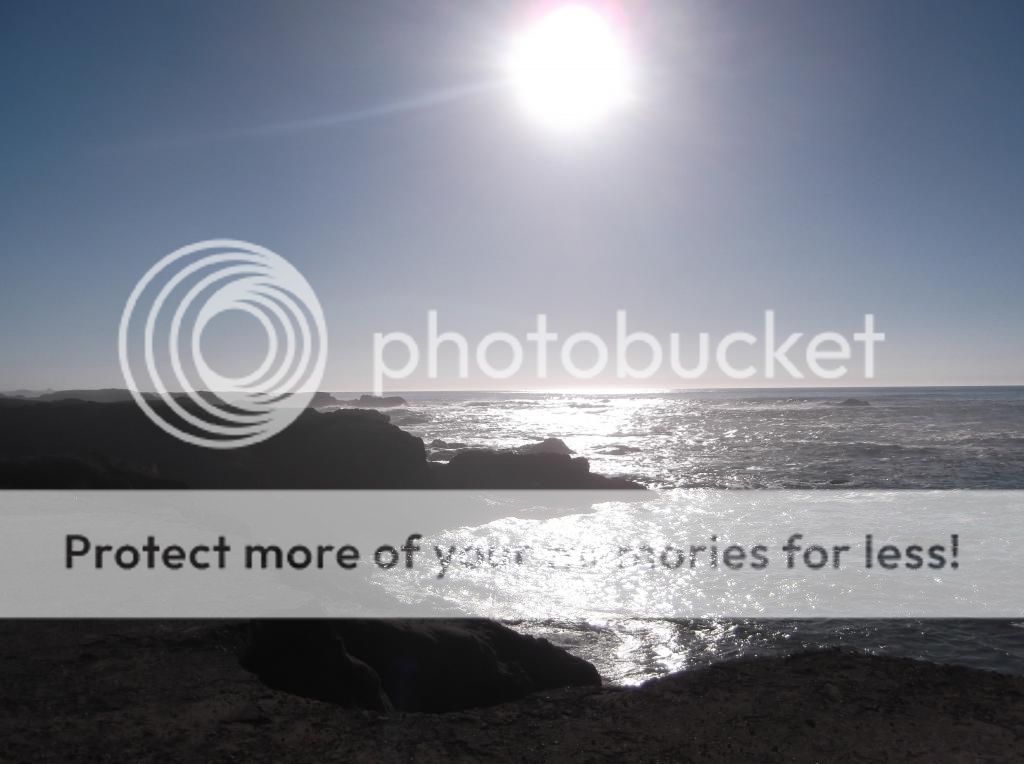  photo DSCF5950_zps9dbde772.jpg