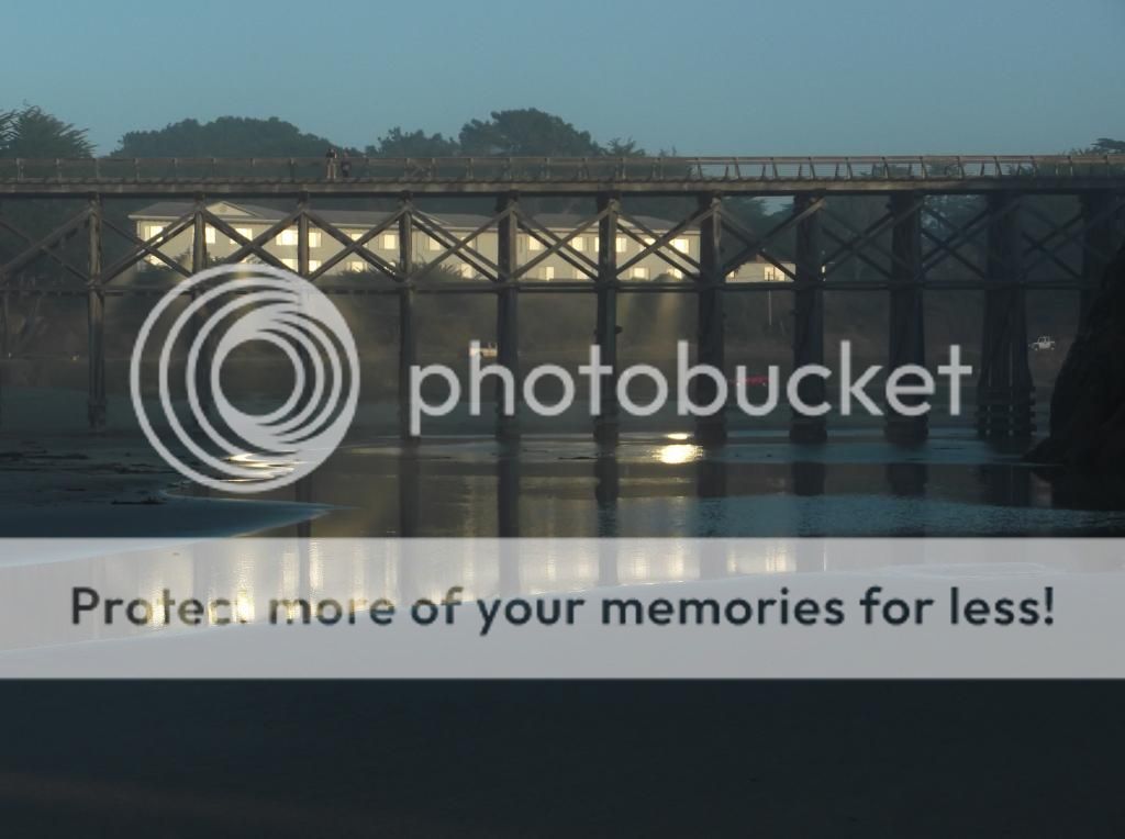  photo DSCF6089_zps04e940ab.jpg