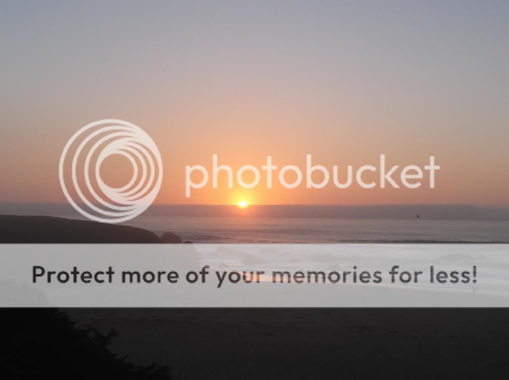  photo DSCF6237_zpsfb246f15.jpg