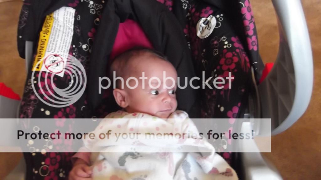  photo DSCF4229_zps5f7bd704.jpg