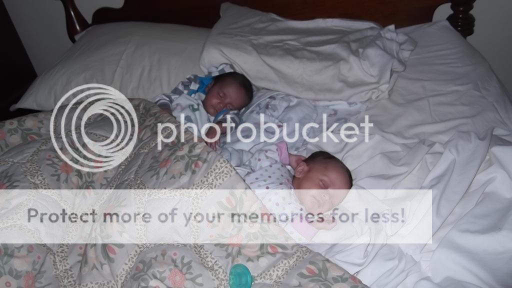  photo DSCF4327_zpsb9130bfd.jpg