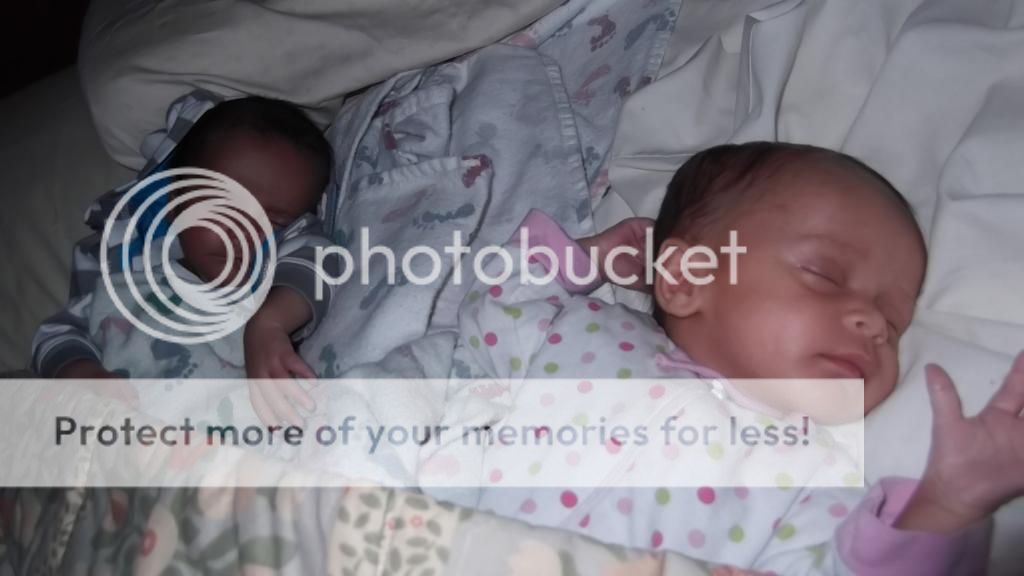  photo DSCF4328_zps5c81ac20.jpg