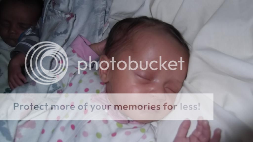  photo DSCF4333_zps7546167f.jpg