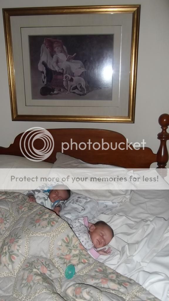  photo DSCF4335_zpsb8eb9a67.jpg