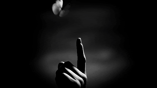 Subtlety, via Tumblr