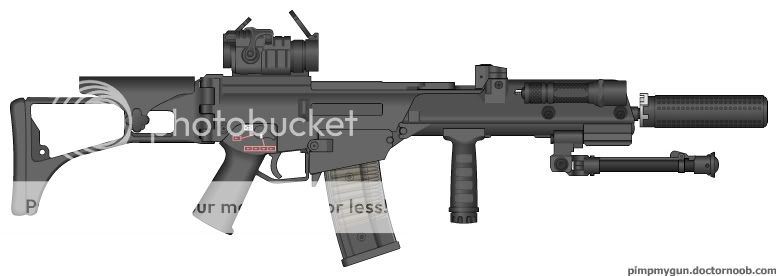 G36custom-1.jpg