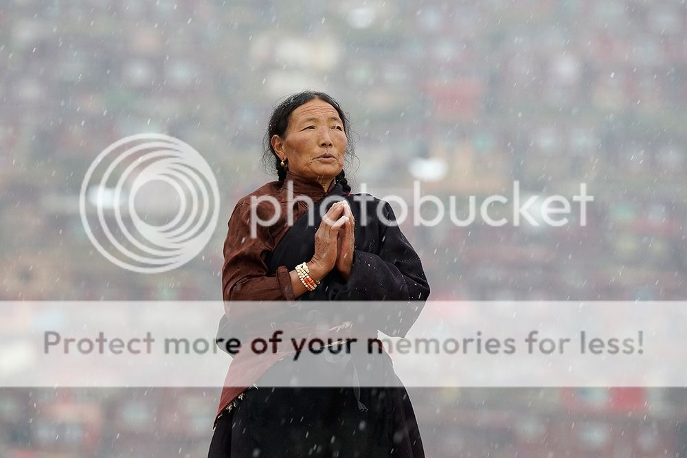 Photo Of the Week