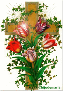 Con amor a nuestra amada Madre María!