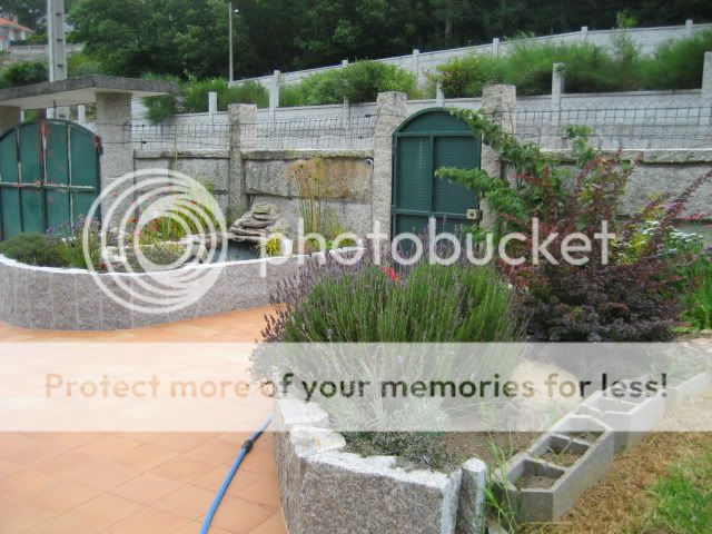 ElEstanque.com - Ver Tema - Mi estanque de koi en Galicia.