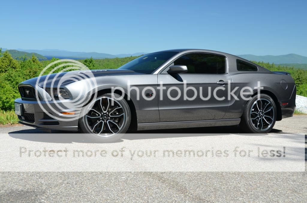 photo mustang.jpg