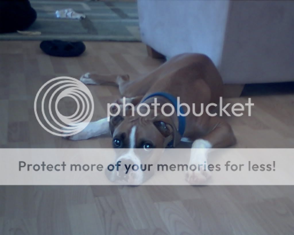 Photobucket