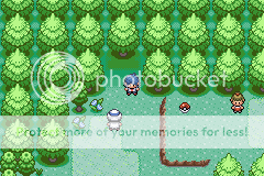 [PokeCommunity.com] Pokemon Sienna Nuzlocke