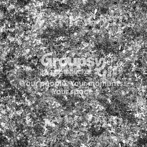 ground010_disp.png