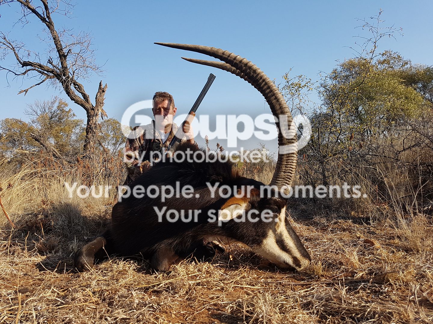 40-43 Inch Sable Hunt Special 6 Nights Accommodation Included US$6,100 ...