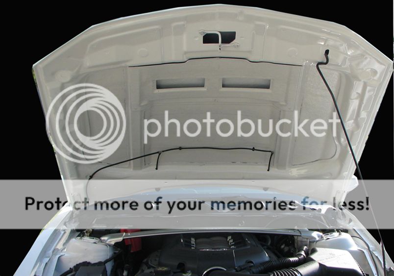 Mustang Fiberglass Hood photo IMG_3338_1778_zps61392134.jpg